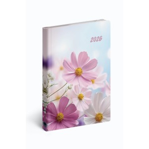 Fiestina B/6 zsebnapt�r