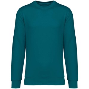 Native Spirit Drifter pul�ver, Peacock Green